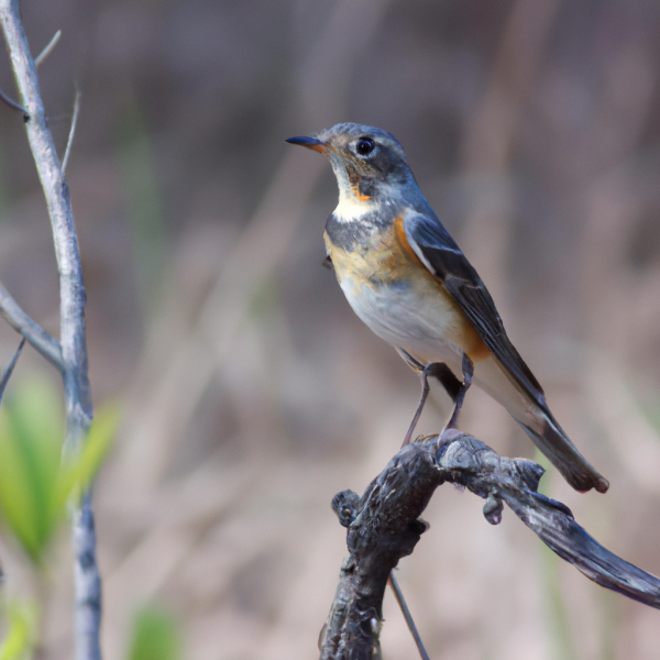 카드값 못 갚아요… 개인회생 가능할까요? 관련 이미지
